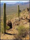 Land as Tucson Real Estate