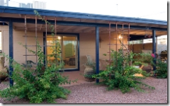 patio of 4826 e 18th st in tucson arizona