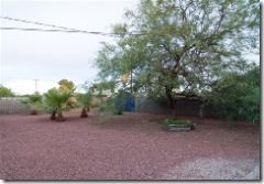 back yard of 4826 e 18th st in tucson arizona