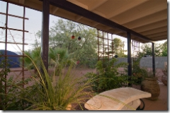 backyard of 4826 e 18th st in tucson arizona