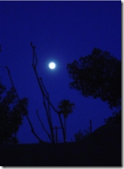 lunar eclipse in tucson