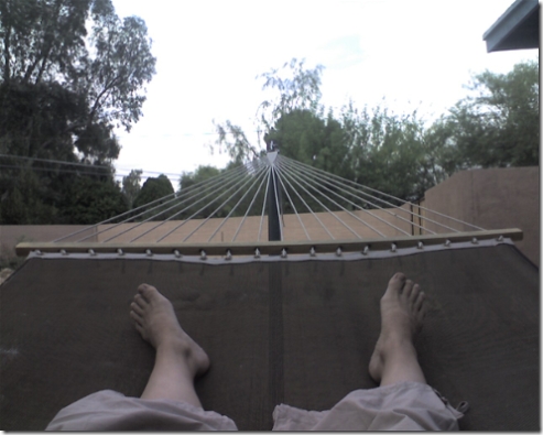 housechick in a hammock