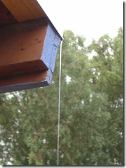 rain off the roof in tucson