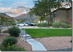 view from patio of 5751 n kolb #40101 in tucson