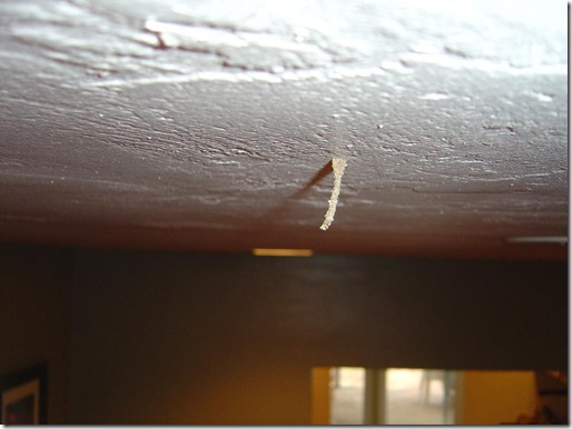 closeup of termite tube on the ceiling of my house