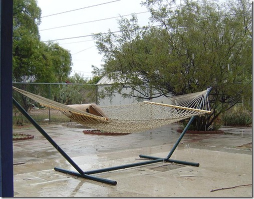 rain on the hammock in tucson