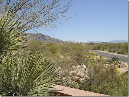 desert landscape from a tucson home