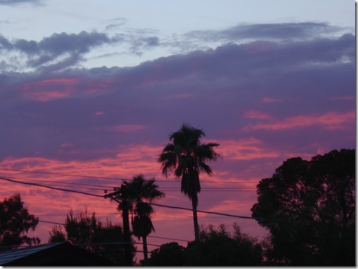 tucson monsoon sunset