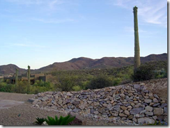 mountain view from a saguaro cliffs home in tucson