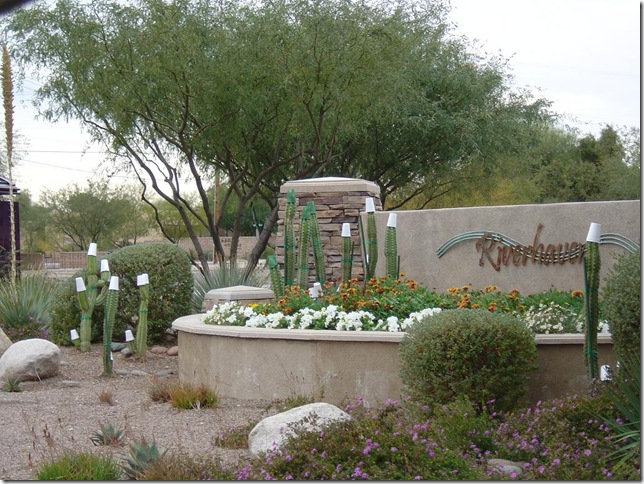 more cups on cactus
