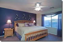 8662 S Desert Valley Way, Tucson - master bedroom