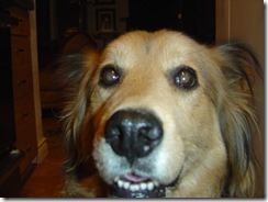 Floyd