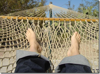 housechick in a hammock