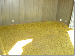 shag carpet and paneling in a tucson home