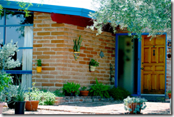 potted plants and a home in tucson