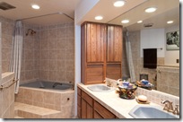 13819 N Gecko Canyon - master bath
