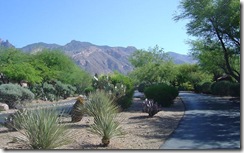 la paloma scenery