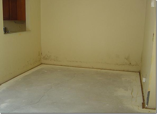 mold in a tucson home
